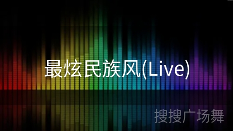 最炫民族风(Live)