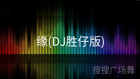 缘(DJ胜仔版) 缘(DJ胜仔版)