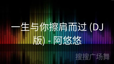 一生与你擦肩而过 (DJ版) - 阿悠悠