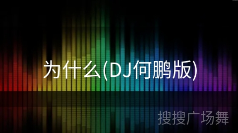 为什么(DJ何鹏版)