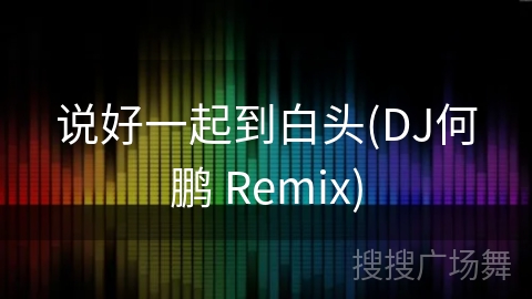说好一起到白头(DJ何鹏 Remix) 说好一起到白头(DJ何鹏 Remix)