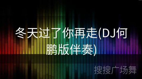 冬天过了你再走(DJ何鹏版伴奏)
