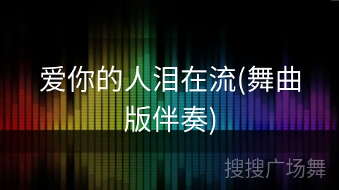 爱你的人泪在流(舞曲版伴奏)