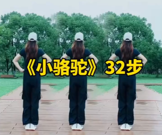 《小骆驼》零基础,广场舞32步 喜欢跳舞的一起来跳舞 ! 《小骆驼》零基础,广场舞32步 喜欢跳舞的一起来跳舞 !
