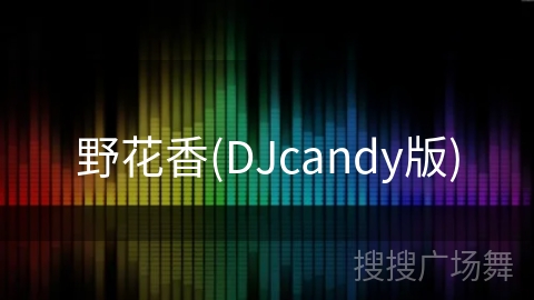 野花香(DJcandy版) 野花香(DJcandy版)