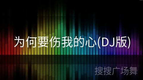 为何要伤我的心(DJ版)