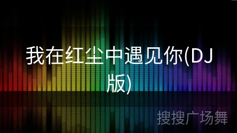 我在红尘中遇见你(DJ版)
