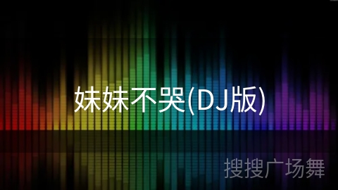 妹妹不哭(DJ版)