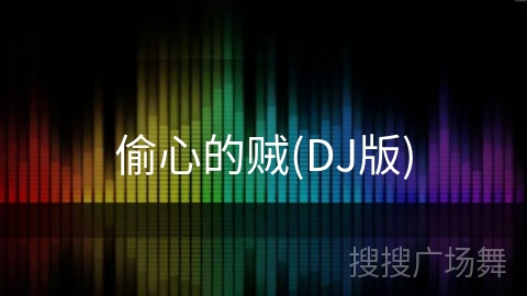 偷心的贼(DJ版)