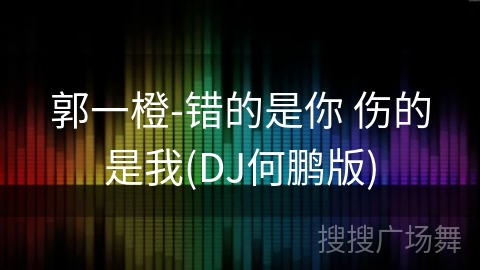 郭一橙-错的是你 伤的是我(DJ何鹏版) 郭一橙-错的是你 伤的是我(DJ何鹏版)