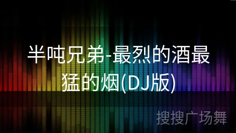 半吨兄弟-最烈的酒最猛的烟(DJ版)