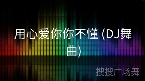 用心爱你你不懂 (DJ舞曲)